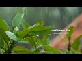 Mazhai Peyyum Pothu Whatsapp Status Song Tamil