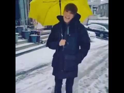 Beagle-stagram JJCC's Simba #Snowy Day