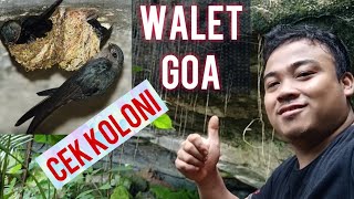 Download lagu GOA WALET || 03-03-2022 || mp3 Download lagu GOA WALET || 03-03-2022 || mp3