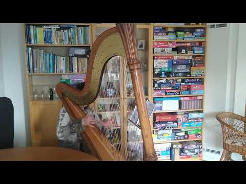 Improvising on the Salvi Diana concert harp, March 2022.