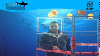 DIA 2 Expo Tiburon137