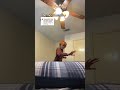 New Lego Jokes Funny Trend Viral Yt Fun Sixfootdancer Popular Diablo Shorts Goofy
