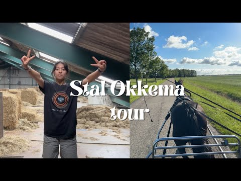 NEW STABLE TOUR {working at Stal Okkema}
