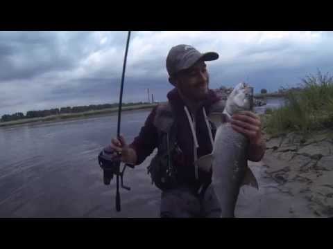 BoleńTV: Bolenie z kamienistych nasypów