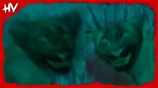 Download lagu Mufasa: The Lion King - I Always Wanted A Brother (Horror Version) ๐ฑ mp3 Download lagu Mufasa: The Lion King - I Always Wanted A Brother (Horror Version) ๐ฑ mp3