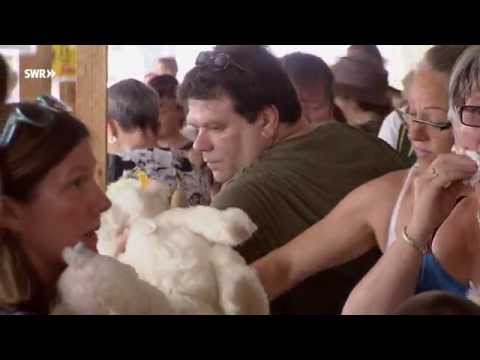 Stammhaus der Stofftiere - Die Firma Steiff in Giengen an der Brenz - made in Südwest - SWR HD+