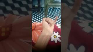 Download lagu ungaliyon ke Naam aamin Amanat Jannat shahadat Farz mp3