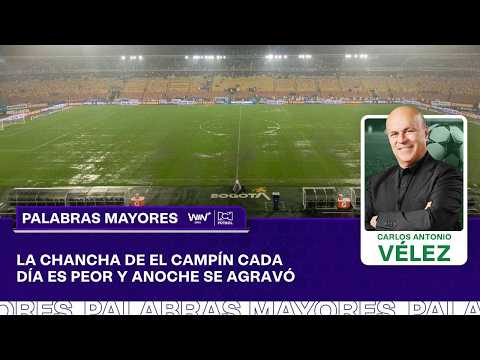 Carlos Antonio Vélez y sus Palabras Mayores del 2 de febrero del 2026