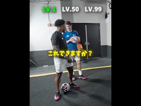 カカを無視してはいけません💀