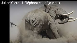 Le Piano eléphant Music Video