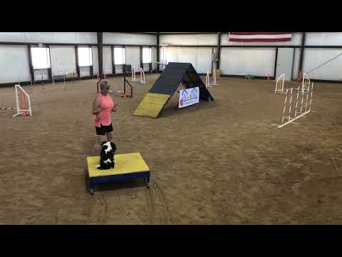 Spinner Standard ST/P1 50 x 60 Event 112234 Course 2 of 2