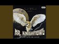 You Did Me Wrong - Mr. Knightowl - Topic You Did Me Wrong