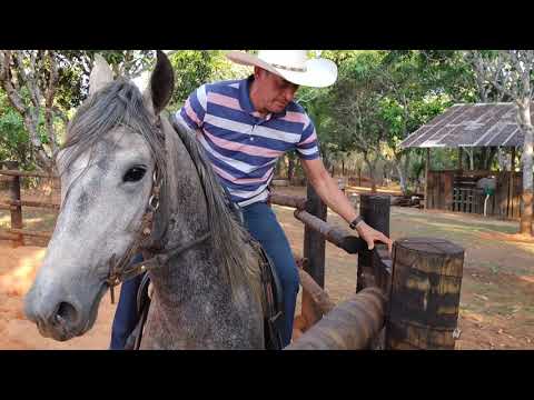 COMO MONTAR EM CAVALO QUE PULA