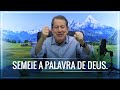 Palavra De Deus A Semente Que Sempre Prospera Semeando A Fé 2021