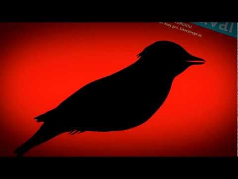 4 CoCArt Music Festival