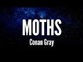 Moths Conan Gray Lyrics