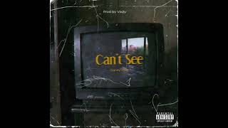 Can't See Music Video