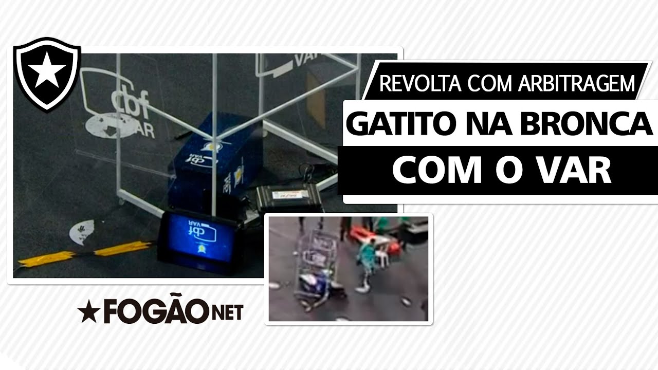 Gatito se revolta com arbitragem em Botafogo x Internacional e derruba VAR com chute