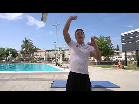 How to do back and reverse dive tuck 201c  301c, 301b, 301a (Springboard Diving Tips)