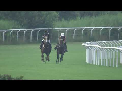 20210714 Kvallopp Göteborg Galopp