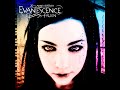 Evanescence%20-%20Everybody%27%5C%27%27s%20Fool