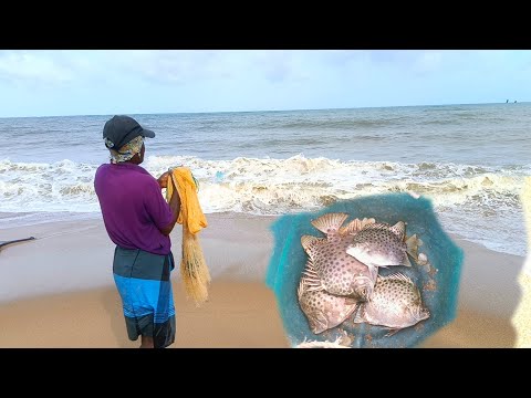 " Hard Work " Cast Net Fishing in The Sea-;Amazing traditional fishing Skills , wait For end