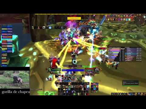 VOD Review Serpentshrine Cavern (SSC) - Rank 3 BM Hunter DPS - TBC