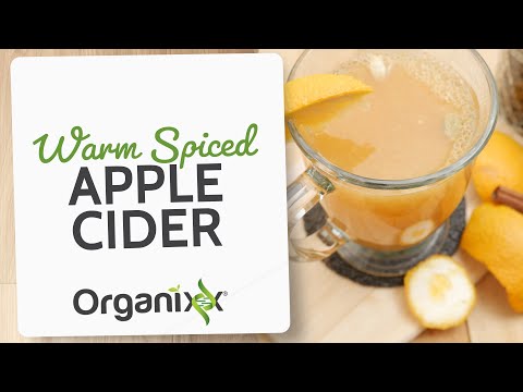 Warm Spiced Apple Cider | Organixx Recipe