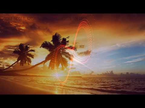 Collie Buddz - Used to (ft. Kreesha Turner) - Crystal-1da Remix
