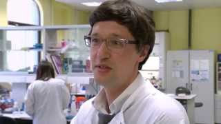 Youtube image of video