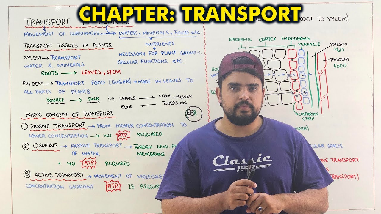 Transport Full Lecture (One shot lecture)