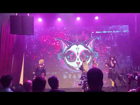 Deadkat @ Asia Idol Show Stage 2 - Mr.Fox Live House【4K 60FPS】