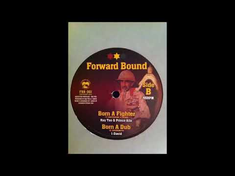 Ras teo & prince Alla - Born A Fighter - Dub