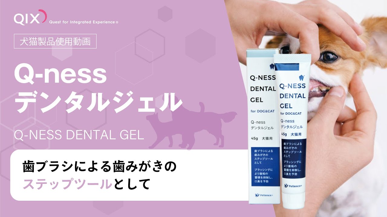 Q-ness デンタルジェル|株式会社QIX Q-ness デンタルジェル|株式会社QIX