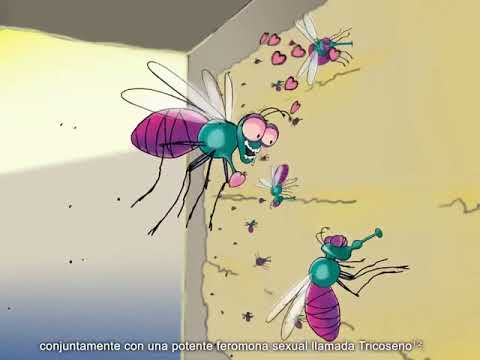 Agita insecticida para moscas adultas. Agita 10 Wg