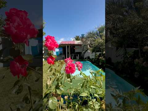 Casa Acuarela en La Coronilla, Rocha