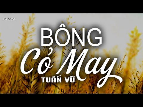 Thể hiện bởi Tuấn Vũ