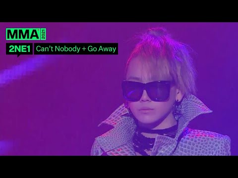 2NE1 - Can't Nobody + Go Away (MMA2010) | 레전드 무대 댓글 모음 #MMA2021