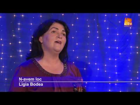 Ligia Bodea - N-avem loc