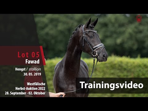 Herbst-Auktion Training Lot 5 Fawad Hengst v. Franziskus - De Niro