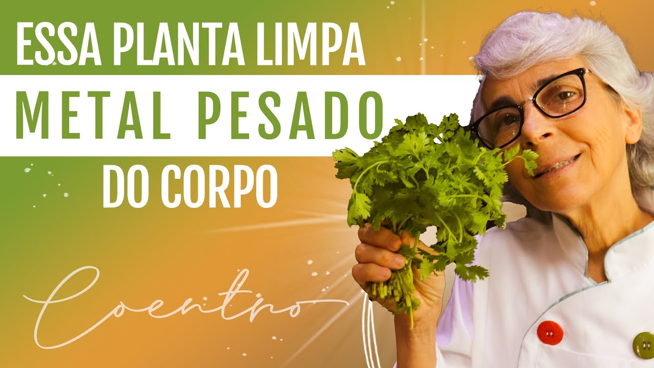 Coentro: ajuda a tratar a hipertensão, diabetes, câncer...