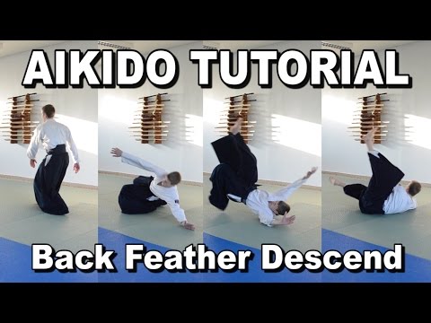 [Aikido Ukemi] Backward Feather Fall - Tutorial