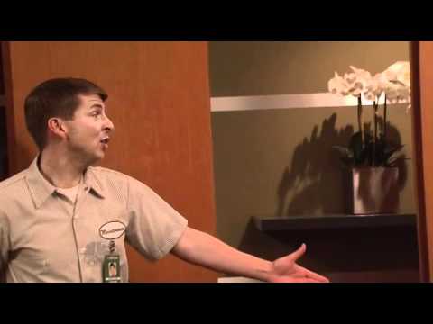 Paul McCartney 30 Rock 619