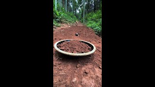 Download lagu Let's not play with fools... Pastoral dogs Animal confusing behavior Dogs Chinese Pastoral dogs and mp3
