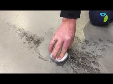 Video 4