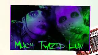 Twiztid- P.S.A