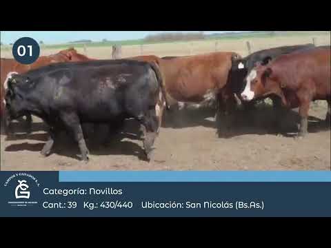 Lote Nv Consumo - San Nicolás Bs AS
