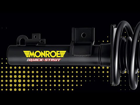 Best Struts Review in 2023 | On the Market Today