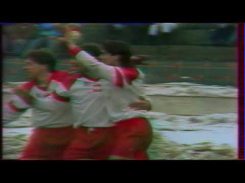 Piotr Świerczewski gol (1993.03.31 Polska-Litwa)