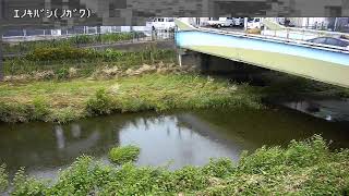 榎橋映像監視局